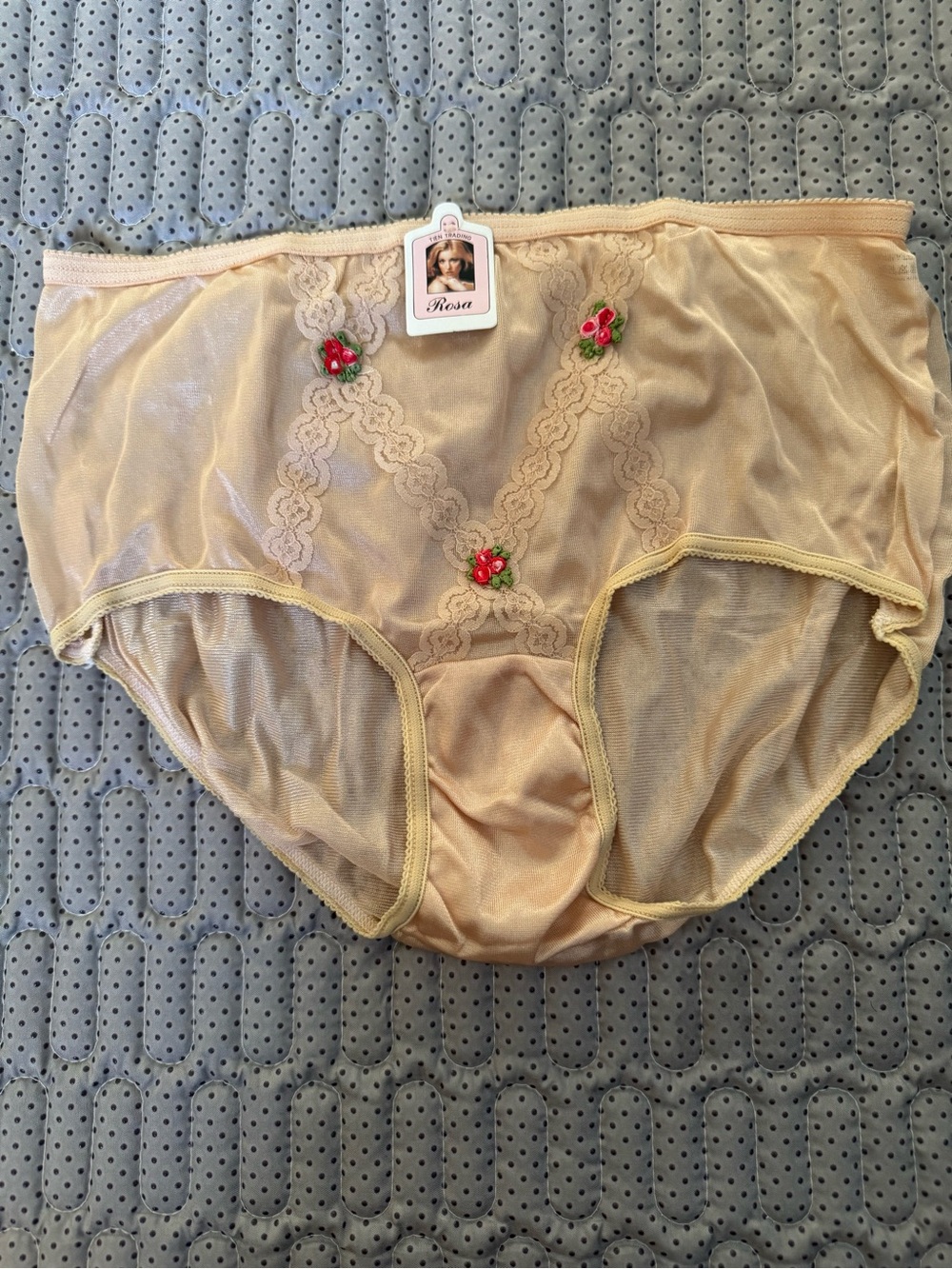 Vintage Women's Sheer Lace-Trim Briefs in Beige with Floral Accents